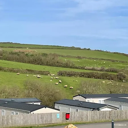 Newquay Bay Sandy Toes - Pet Friendly